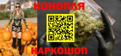 круглые Кингисепп