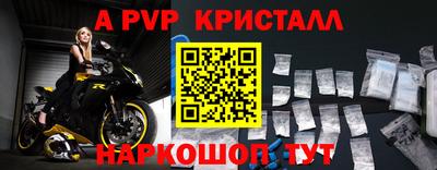 круглые Кингисепп
