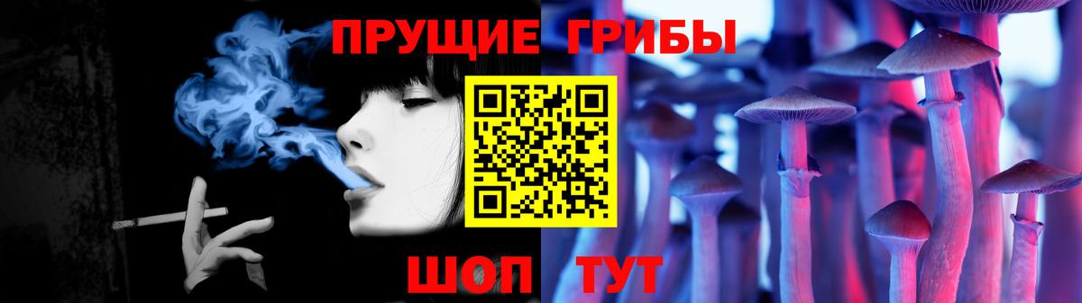 Хасавюрт  Галлюциногенные грибы Psilocybe  купить наркоту  Вход с VPN 